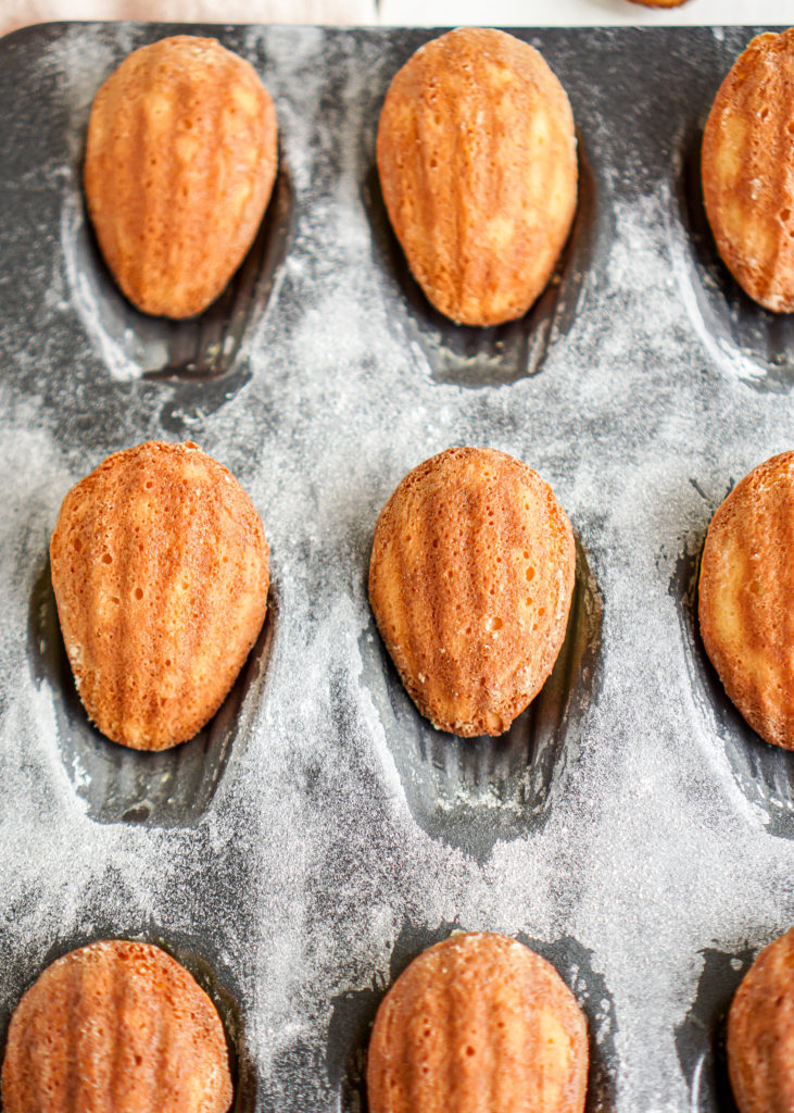 French Madeleines 