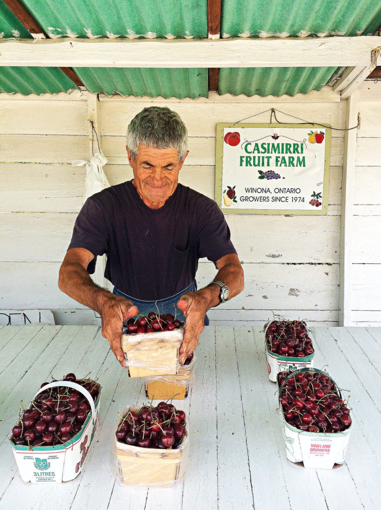 Buying Cherries from the Casimiri fruit stand in Niagara