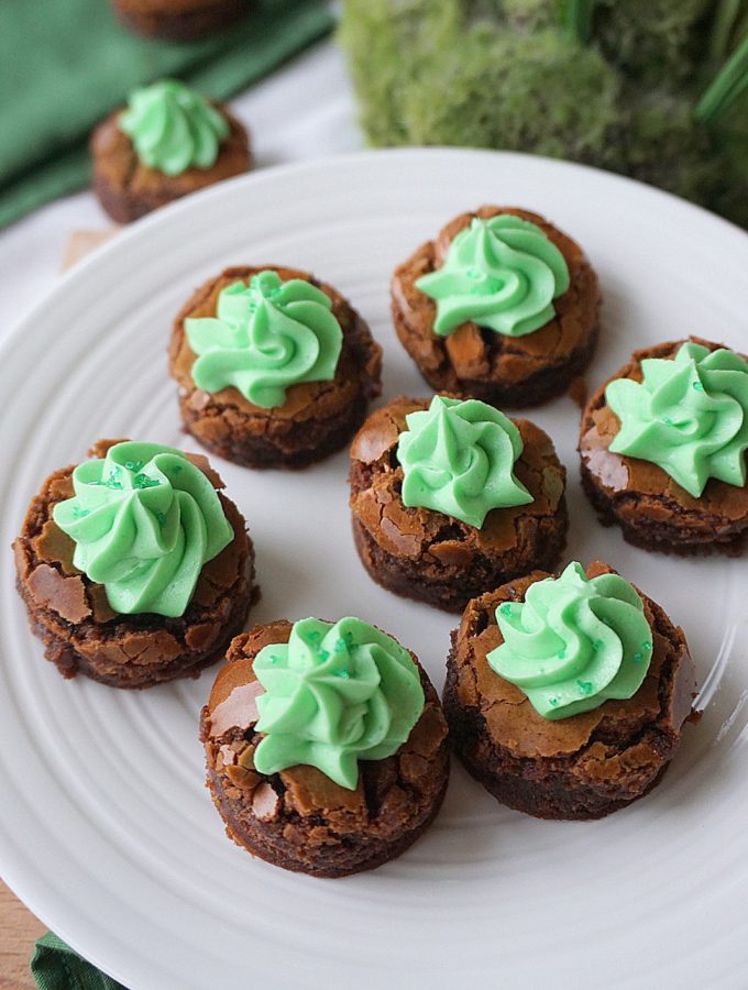 Two Bite Chocolate Mint Brownies