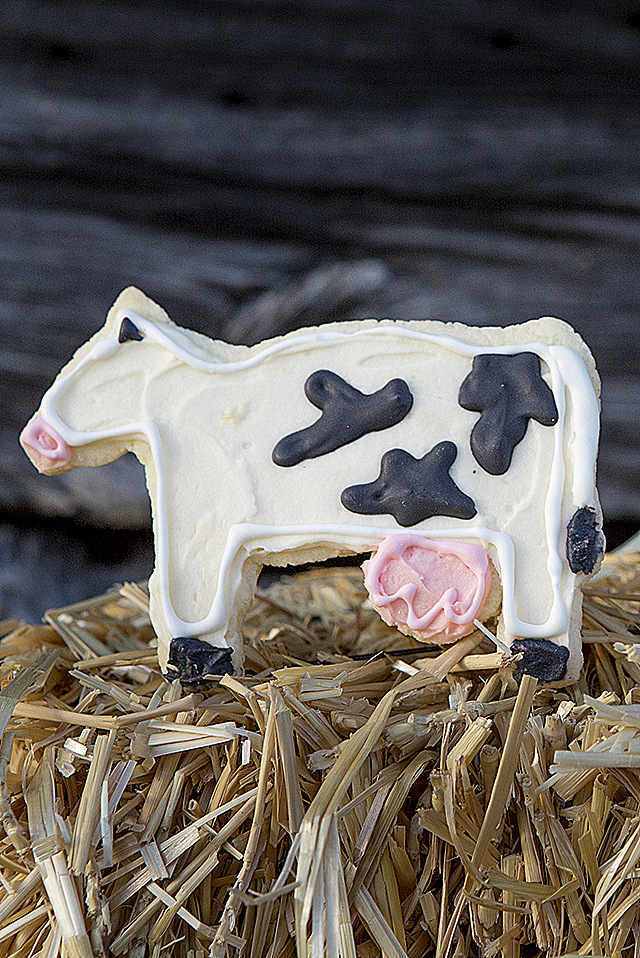 Summer time is fun time with sugar cookies shaped like cute farm animals! The classic sugar cookie never goes out of style 