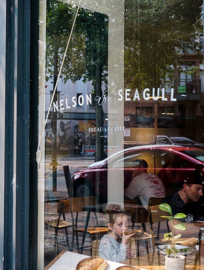 Nelson the Seagull, Gastown Vancouver
