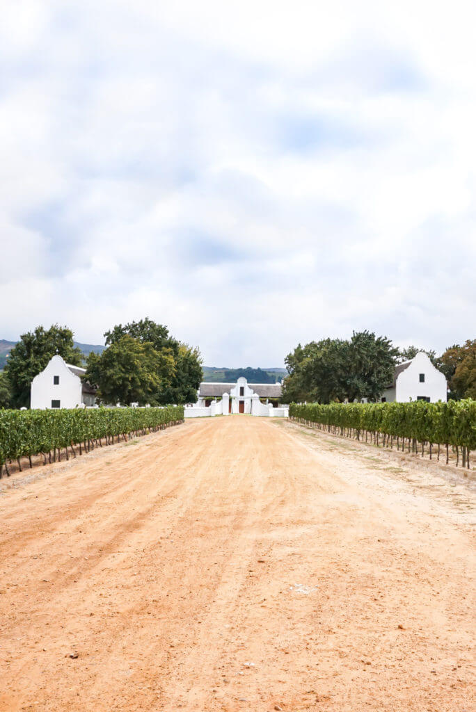 Top 3 Vineyards to Visit in South Africa