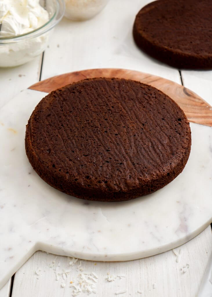 How to Make Chocolate Coconut Cake 